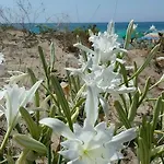 Visitsicilia Sabbia Dorata Διαμέρισμα *